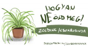 zöldike, csokrosinda gondozása